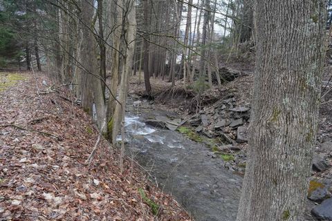 Il s’agit d’un magnifique terrain à bâtir avec un ruisseau serein qui se trouve à distance de marche du quartier commercial de Hstoriic Main Street. Ce terrain est juste au-dessus de la limite du village, mais avec un accès aux conduites d’eau et d’é...