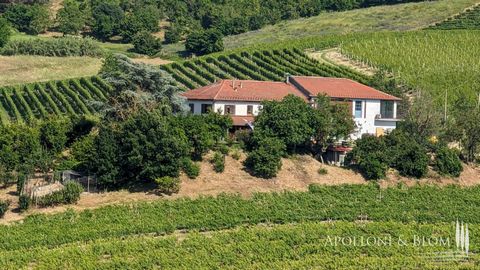 Azienda vitivinicola biologica con vigneto, cantina con produzione di Barbera, cascina in vendita a Nizza Monferrato, Piemonte. Questa interessante proprietà, adagiata sulle morbide colline dell’Alto Monferrato, patrimonio Unesco, si raggiunge da 450...