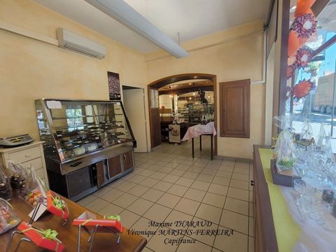 photo no. 2