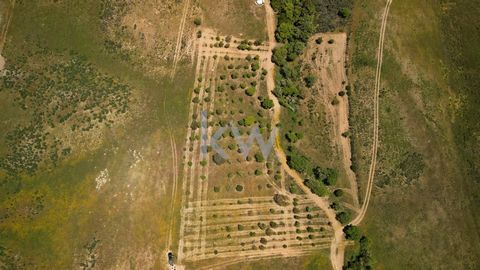 Localizado na pitoresca aldeia de Budens e a meros 800m da aldeia da Pedralva em que tempos tinha apenas 9 habitantes e e 9 casas com condições habitacionais mínimas em 2006, hoje em dia já com uma vida totalmente diferente a Pedralva conta com aprox...