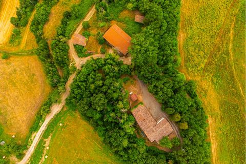 Pueblo característico en venta en Barberino di Mugello (FI) En el corazón de Mugello, a sólo 3 km del lago Bilancino, se encuentra este pueblo característico. La propiedad incluye 2 casas de campo de auténtico estilo toscano. Al pueblo llamado 