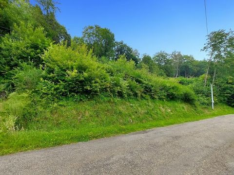 Dans la Vallée de Saint-Amarin à Fellering, 68470, je vous invite à découvrir en exclusivité cette belle parcelle de 20 ares, située en hauteur du village. Édifiez votre futur chez vous sur ce terrain de montagne, ensoleillé et sans vis-à vis. Vous p...