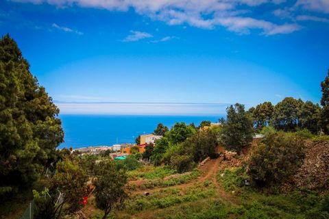 Bienvenido a su nuevo hogar en Icod de los Vinos a 620 m de altitud. Esta exquisita finca en venta impresiona por sus impresionantes vistas al Océano Atlántico y a los acantilados volcánicos Teide. Construida en 1996 y modernizada por última vez en 2...