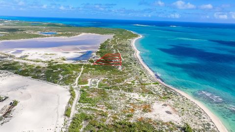 Prachtig land op een heuveltop op slechts 100 meter van het strand; ongeveer 400 meter van de terminal van Carnival Cruise Line. Korte rit naar de luchthaven Grand Turk, 10 minuten naar de stad. Prachtig uitzicht op de oceaan en de nabijgelegen baaie...