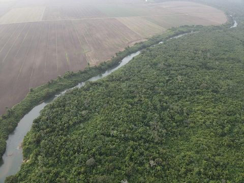 Cette vaste propriété compte 9800 acres de terres agricoles fertiles, offrant un sol productif de haute qualité idéal pour les activités agricoles. Situé entre Spanish Lookout et Valley of Peace, il bénéficie d’un accès pratique aux deux régions, ce ...