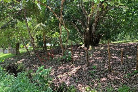 Beau terrain à vendre à Lagunillas de Garabito, près d’El Peñón de Guacalillo, avec accès à une route de gravier très bien entretenue toute l’année. Il y a 2 805 m² de topographie régulière, avec une inclinaison du sud au nord, ce qui assure un excel...