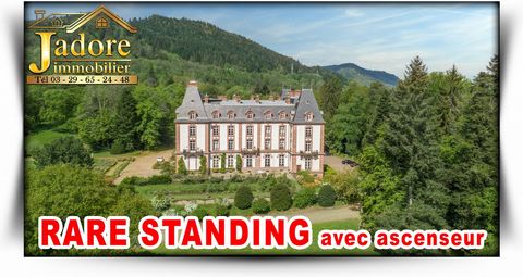 NOUVEAU ! JADORE IMMOBILIER vous présente en EXCLUSIVITE APPARTEMENT CHATEAU DE STANDING avec ascenseur ! Situé dans les Vosges, à 45 mn de NANCY et COLMAR, proche des massifs, des lacs, des sentiers de randonnées, des pistes de ski, et sur un parc d...