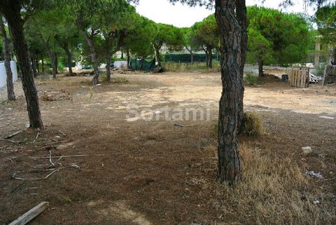 Terreno para construção, na Quinta do Lago! Lote de terreno urbano com possibilidade de construção de moradia isolada, numa zona exclusiva de moradias de luxo e com a possibilidade de estudo e execução de projecto ao gosto do novo proprietário. Local...