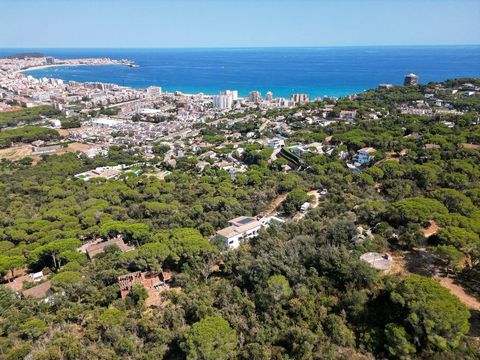 Cette résidence exceptionnelle, située dans la prestigieuse région de Calonge, s'étend sur 500 mètres carrés répartis sur trois niveaux, sur un terrain généreux de 1 194 mètres carrés. Elle se distingue par un design architectural unique qui allie de...