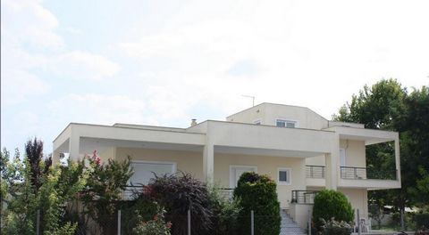 Villa à vendre en Thessalie, Palamas. La villa est de 377 m² Plus précisément : Rez-de-chaussée: 77 mètres carrés 1er étage: 80 m² 2ème étage: 73 m² Sous-sol: 147 mètres carrés La villa a été construite en 1998 et se compose des chambres suivantes: Q...