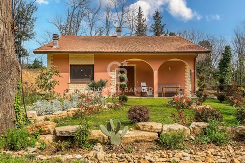 This charming detached house is immersed in the lush Tuscan countryside, offering a private but not isolated position. Within easy reach of the amenities of the center, just 15 minutes from Lucca and Pisa, and 20 minutes from the sea, this property r...