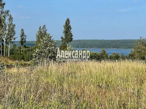 1700005 Представляем вашему вниманию прекрасную возможность приобрести земельный участок в деревне Ольховка, расположенной в Лен. области. Этот участок обладает множеством преимуществ, которые делают его привлекательным выбором для тех, кто ищет комф...