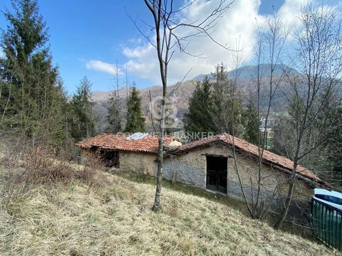 Landwirtschaftliches Grundstück zum Verkauf mit Steinlager in Provaglio Val Sabbia In Provaglio Val Sabbia, in Panoramalage mit Blick auf die schönen umliegenden Täler und Berge, bieten wir ein landwirtschaftliches / bewaldetes Grundstück von 3000 Qu...