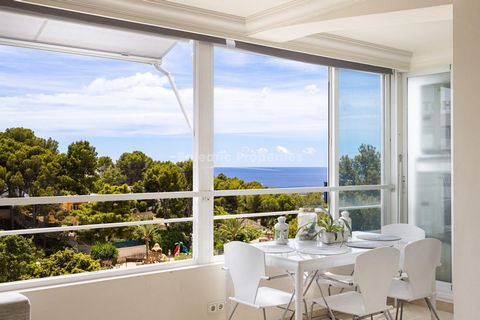 Kleines Apartment mit Meerblick, nur wenige Gehminuten vom Puero de Portals entfernt. Es verfügt über zwei Schlafzimmer, ein Badezimmer und eine geräumige Wohnküche mit einem Wohnzimmer mit großen Fenstern, die dem Anwesen viel Licht geben. Es handel...