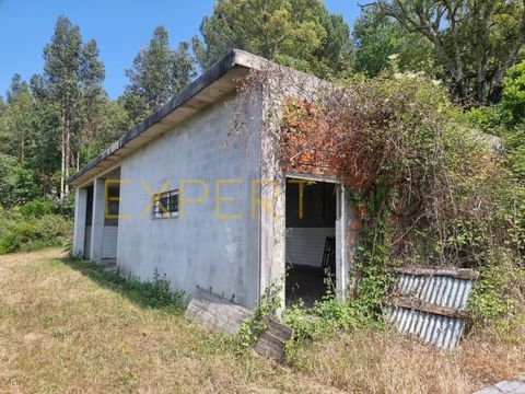 Co. 7069 Quinta junto à localidade da Póvoa de Midões (Tábua) destaca várias características atrativas Aqui estão alguns pontos importantes que lhe podem interessar : Viabilidade de Construção: A presença de duas casas de arrecadação, uma com 119m2 e...