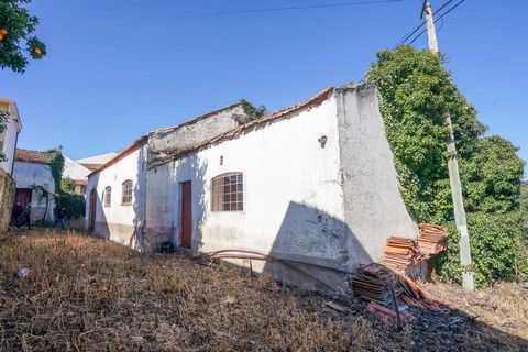 Farm with olive press factory, covered area,patio,storage area,land and well on a very good location at 5 min.from town centre Lousã , 10 min. from River beach, 20 min. from Coimbra city and 1,5 hour from Porto airport. Contains 2 urban articles : ol...