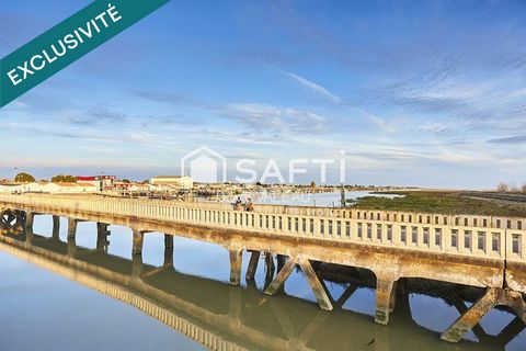 photo no. 14