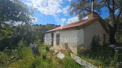 Quinta localizada a norte de São Marcos da Serra com furo de água, duas barragens, uma fonte antiga de água. Com área de 45560 m2 de terreno e casa com 160 m2, inserida em zona verde com bastante agua no subsolo. Imóvel adequado para viver off the gr...