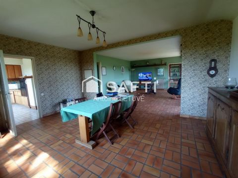photo no. 5