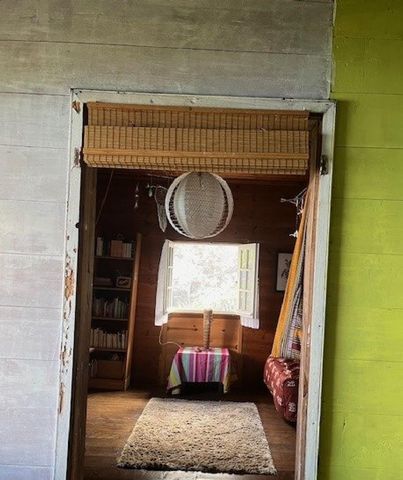 photo no. 6