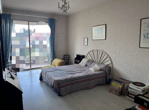 photo no. 15