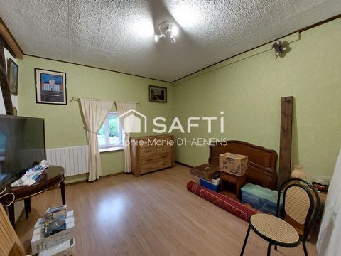 photo no. 6
