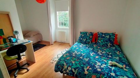 photo no. 15