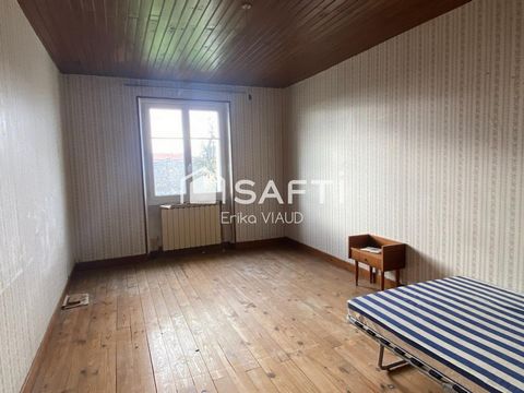 photo no. 11