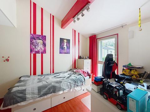 photo no. 11