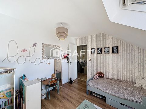 photo no. 12