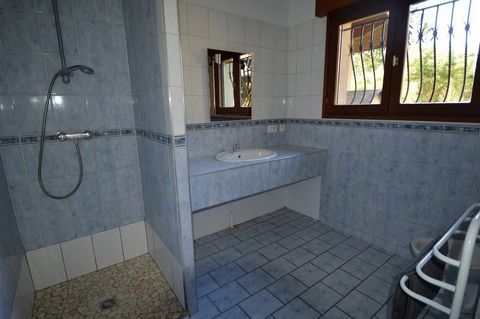 photo no. 6