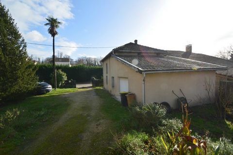 photo no. 12