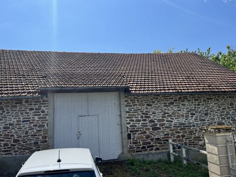 photo no. 5