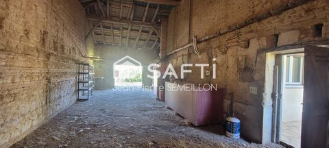 photo no. 12