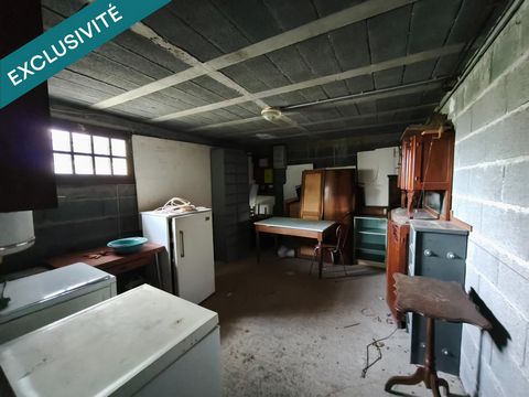 photo no. 15