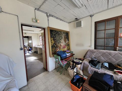 photo no. 15