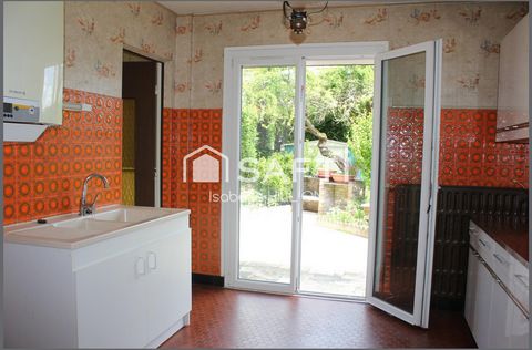 photo no. 6