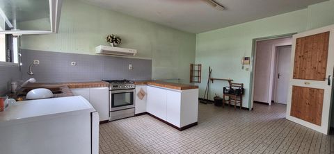 photo no. 2