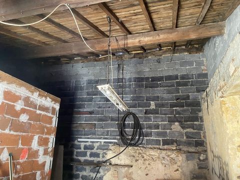 photo no. 8