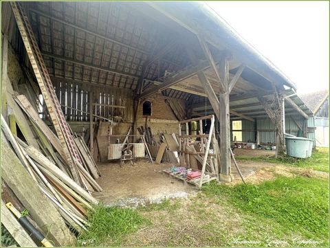 photo no. 2
