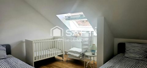 photo no. 15