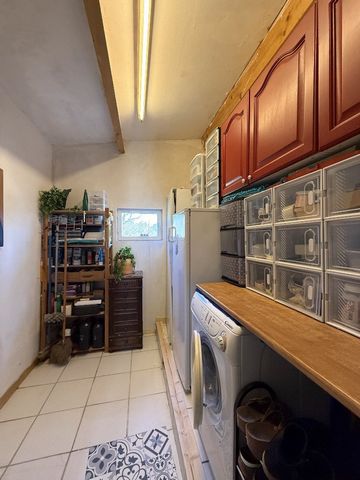 photo no. 12