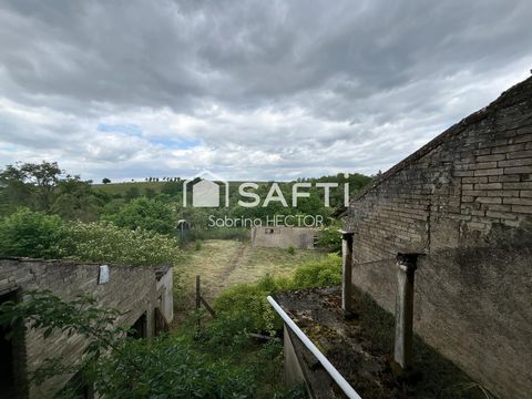 photo no. 13