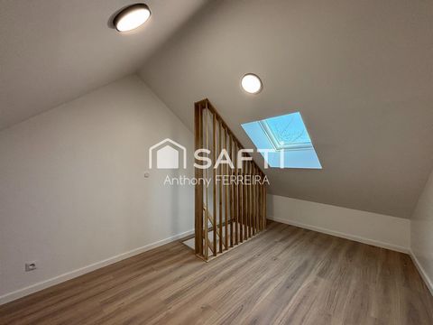 photo no. 11