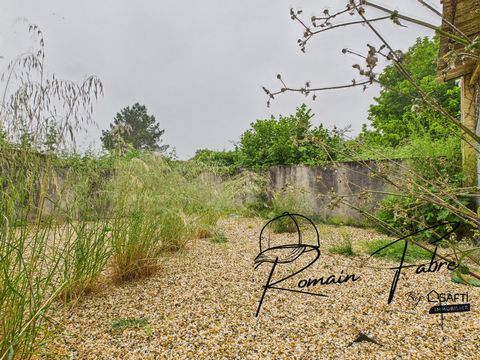 photo no. 13