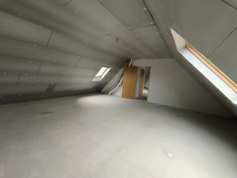 photo no. 10