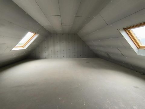 photo no. 12