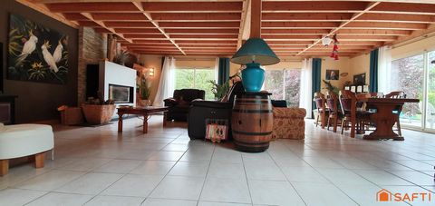 photo no. 16