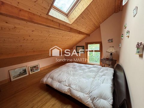 photo no. 11