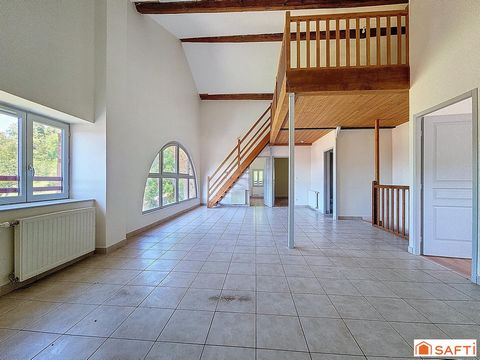 Grand appartement au calme d'une coproriété de charme, cave,stationnement, jardin.